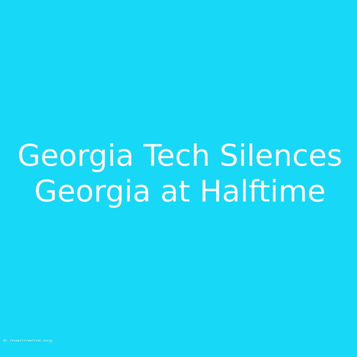 Georgia Tech Silences Georgia At Halftime