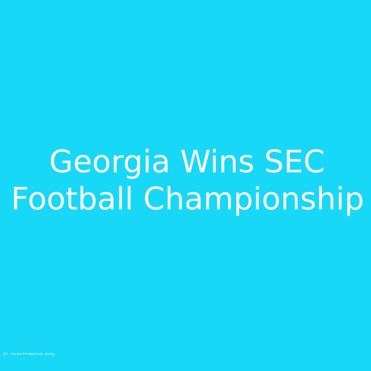 Georgia Wins SEC Football Championship