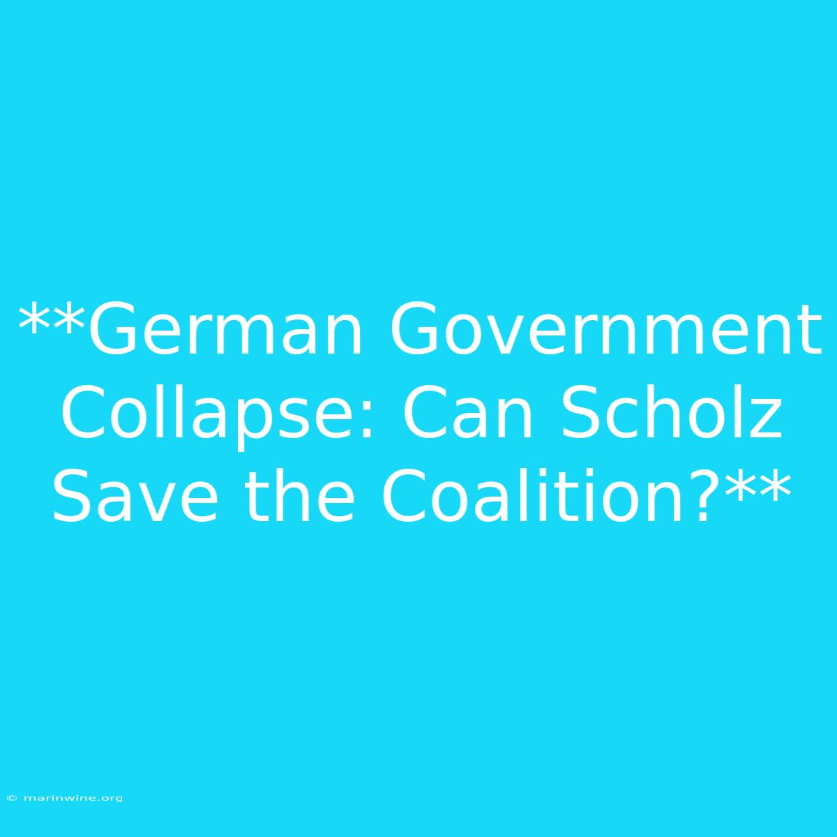 **German Government Collapse: Can Scholz Save The Coalition?** 