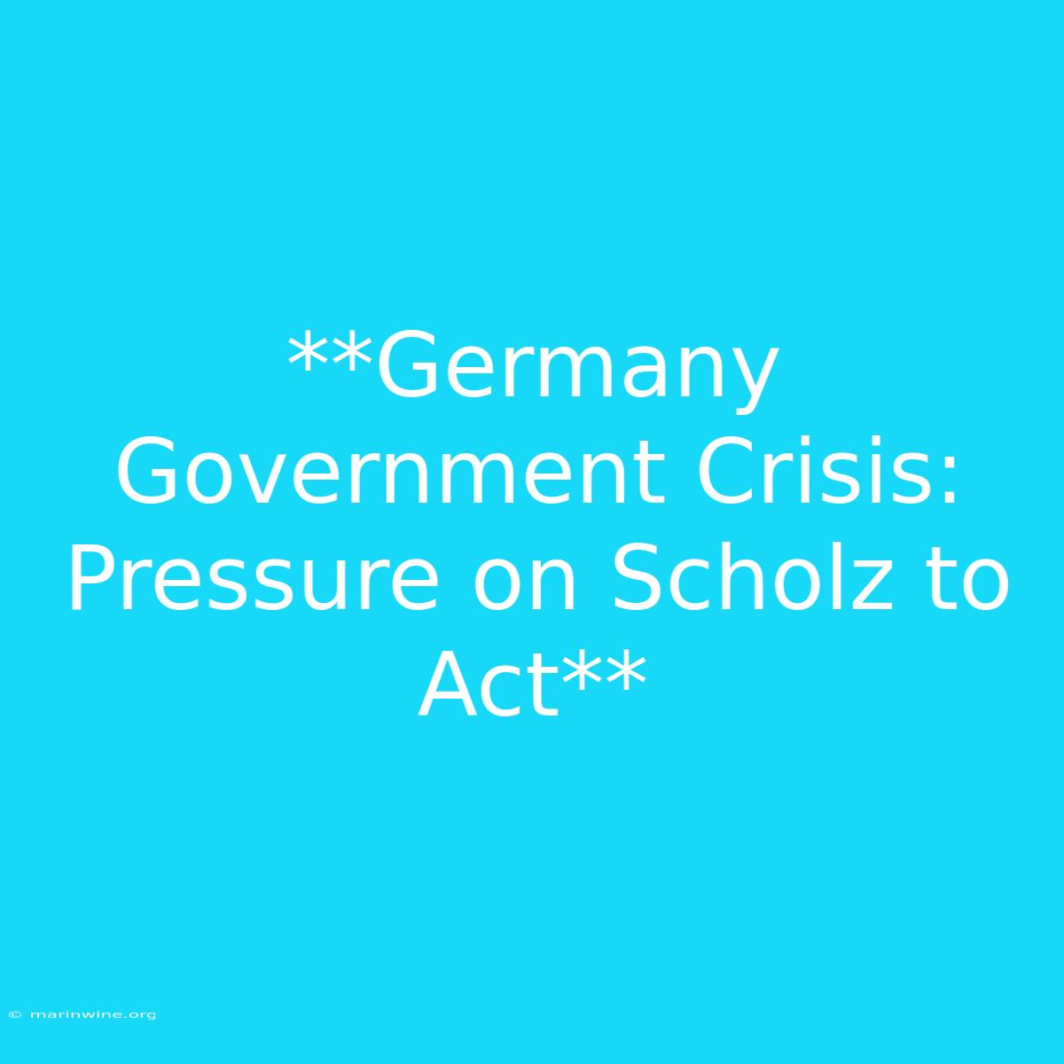 **Germany Government Crisis: Pressure On Scholz To Act**