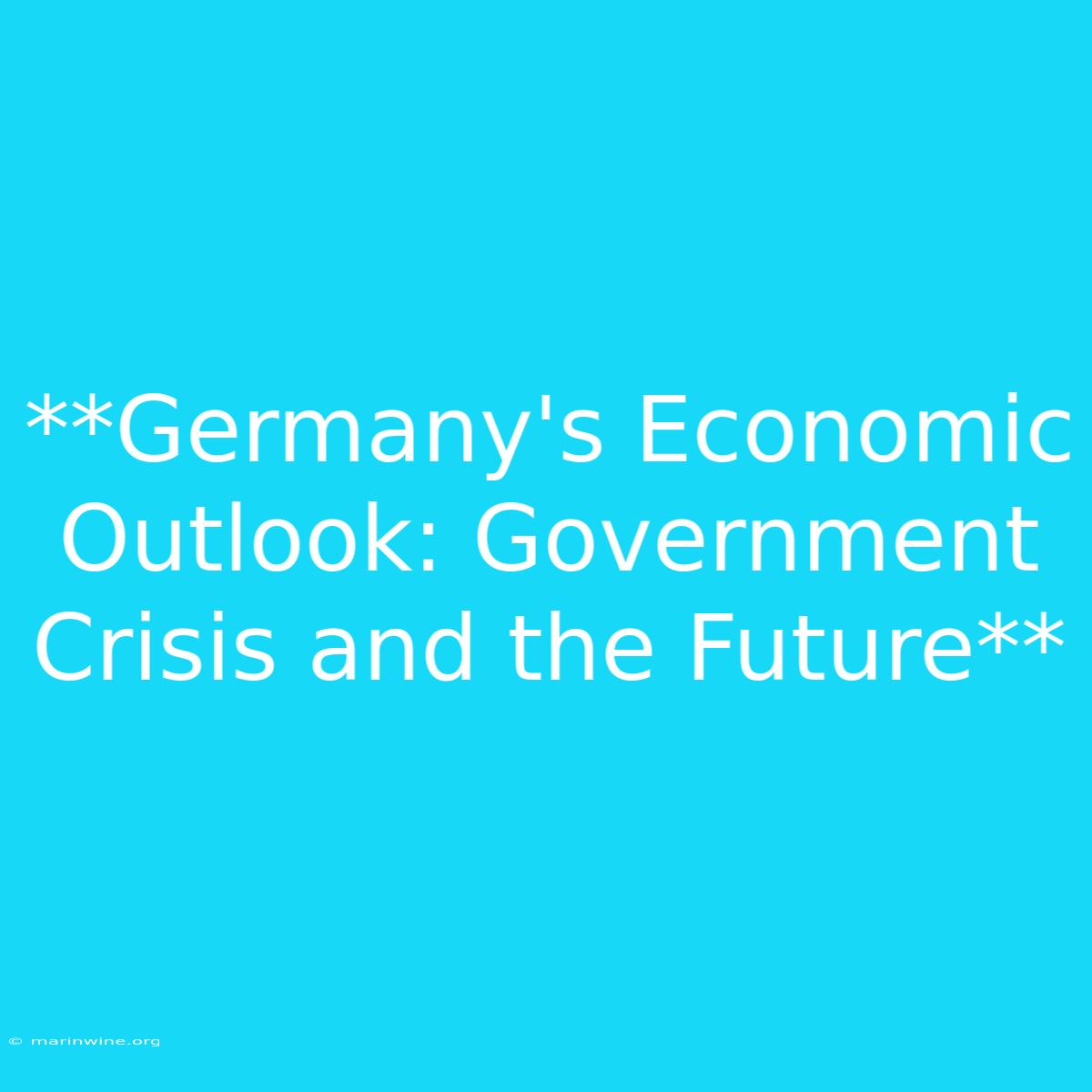 **Germany's Economic Outlook: Government Crisis And The Future** 