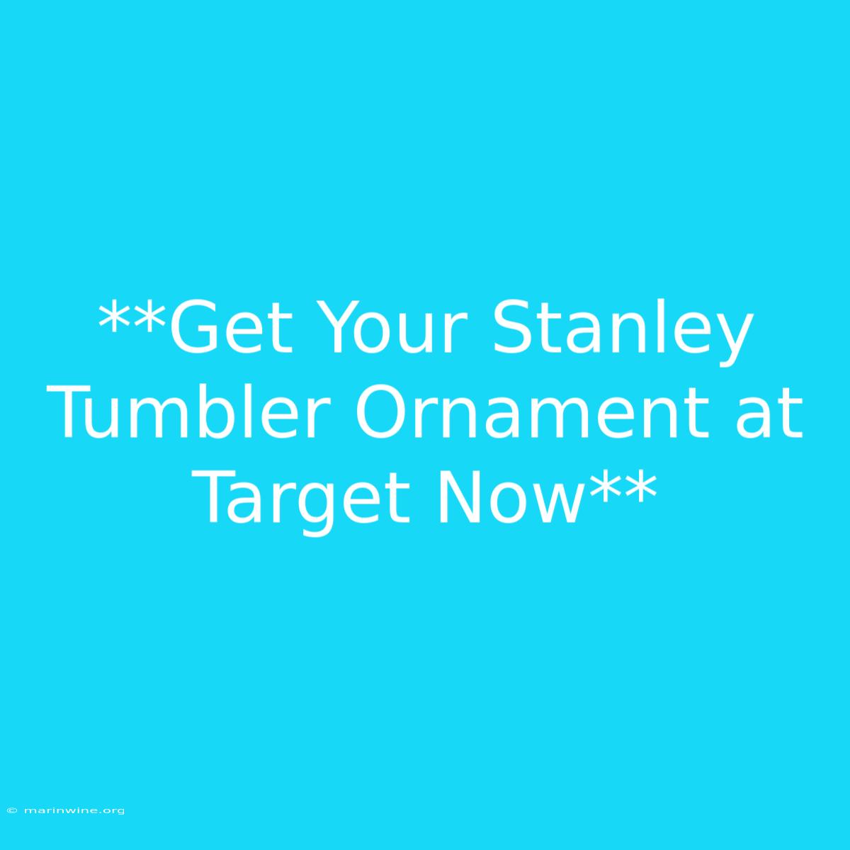 **Get Your Stanley Tumbler Ornament At Target Now** 