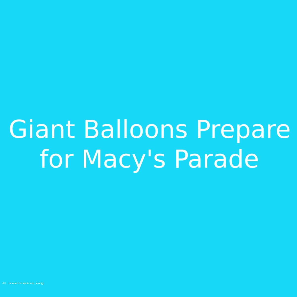 Giant Balloons Prepare For Macy's Parade