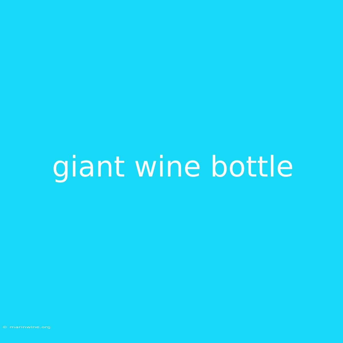 Giant Wine Bottle