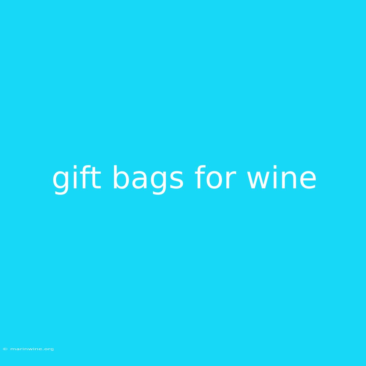 Gift Bags For Wine