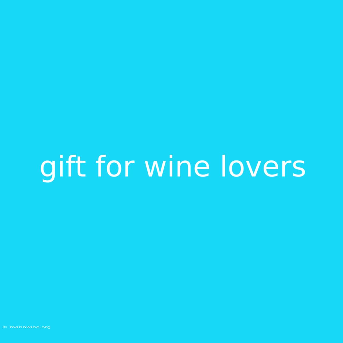 Gift For Wine Lovers