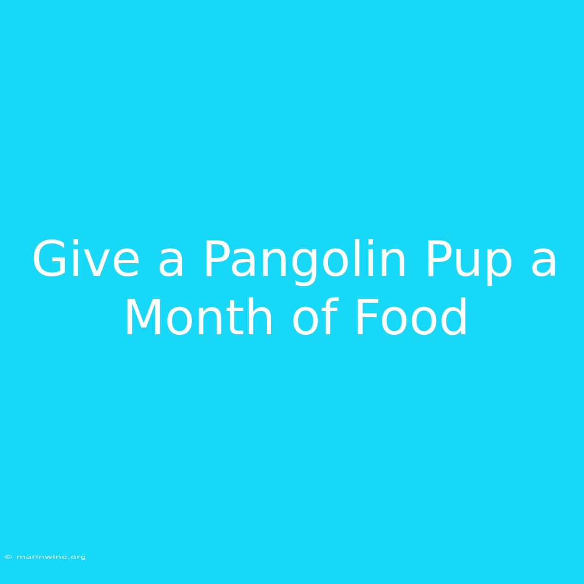 Give A Pangolin Pup A Month Of Food 