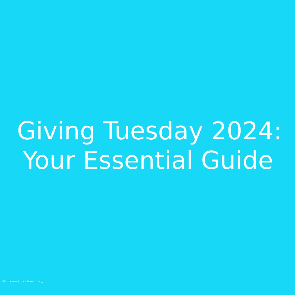 Giving Tuesday 2024: Your Essential Guide