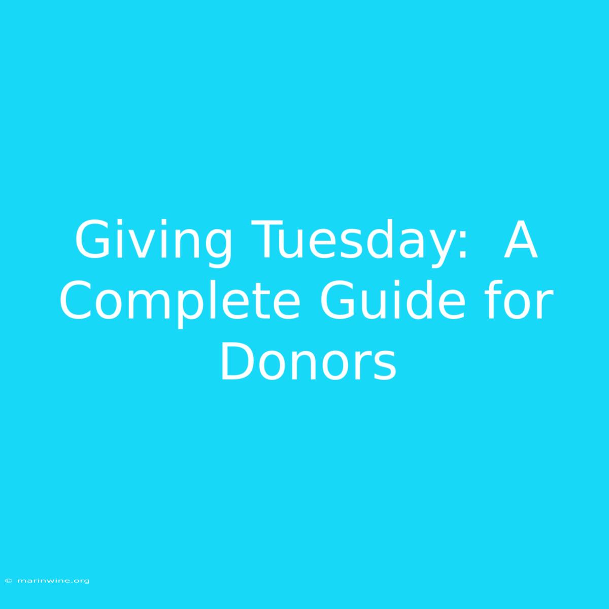 Giving Tuesday:  A Complete Guide For Donors