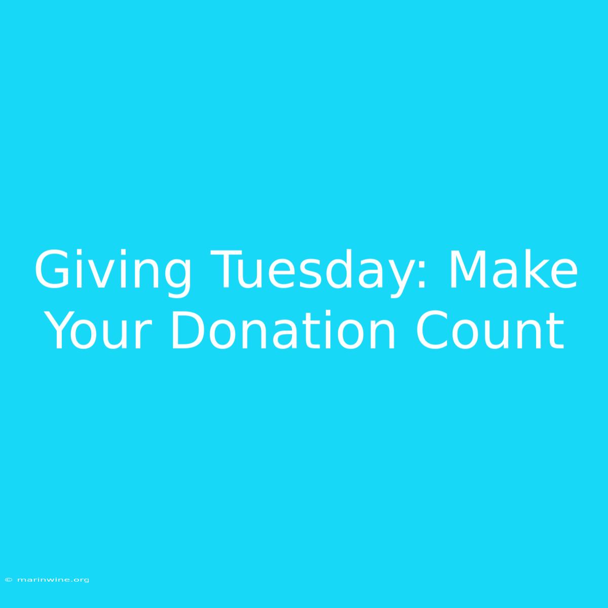 Giving Tuesday: Make Your Donation Count