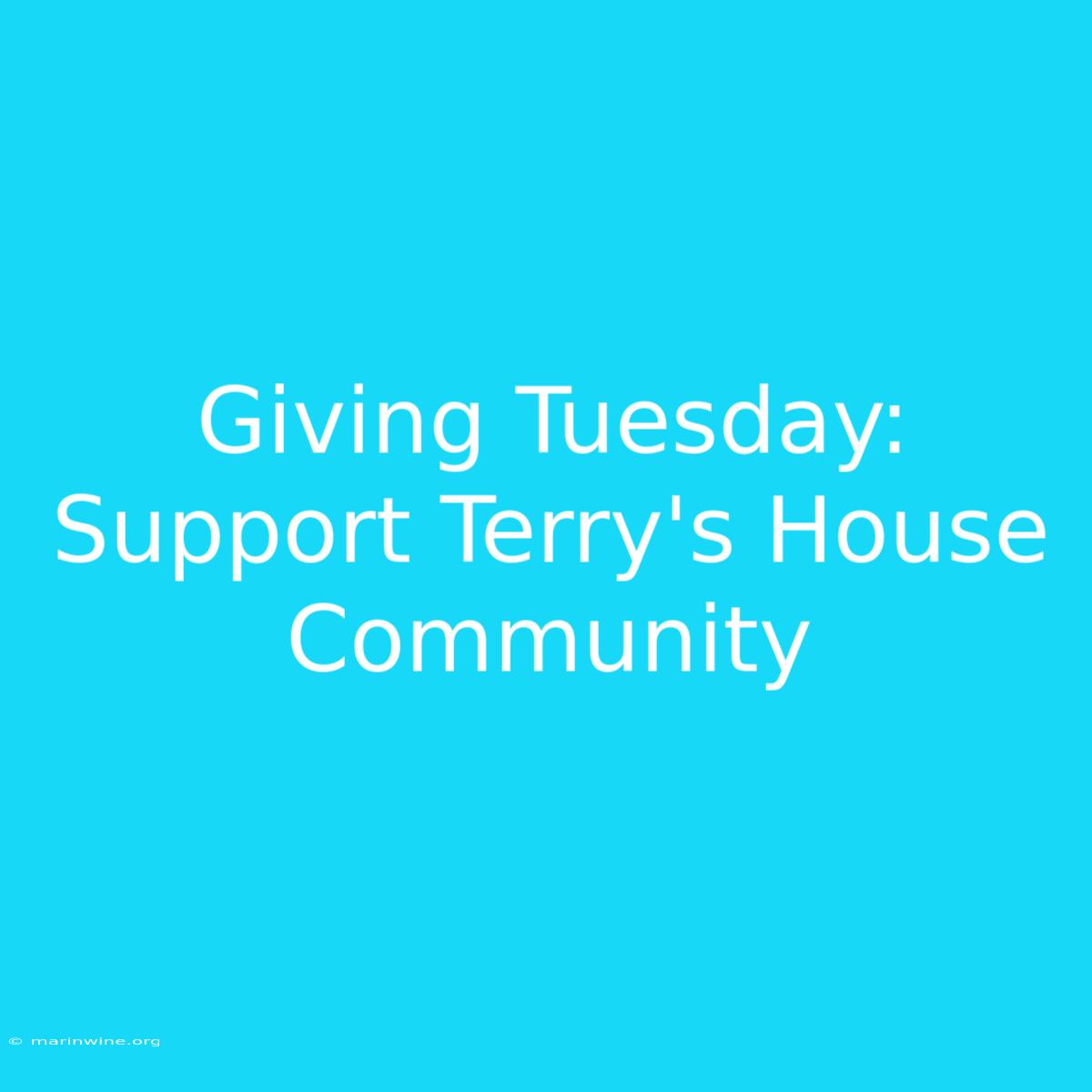 Giving Tuesday: Support Terry's House Community