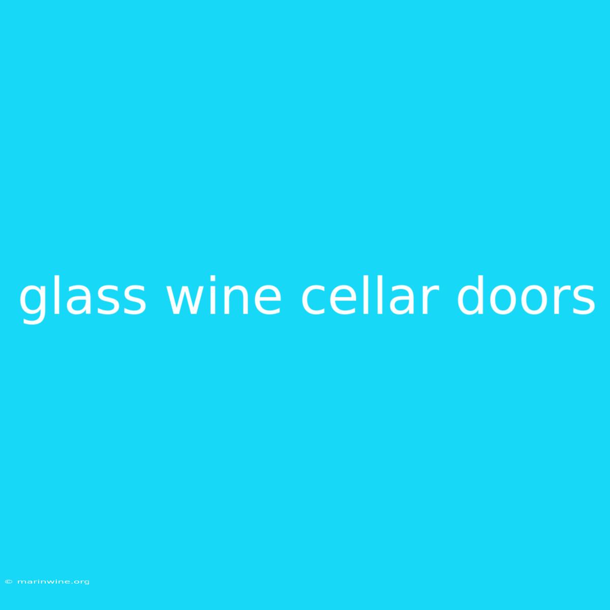 Glass Wine Cellar Doors