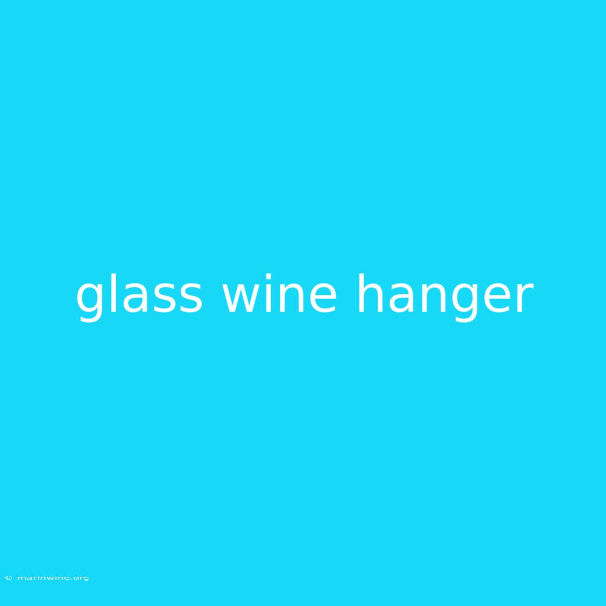 Glass Wine Hanger