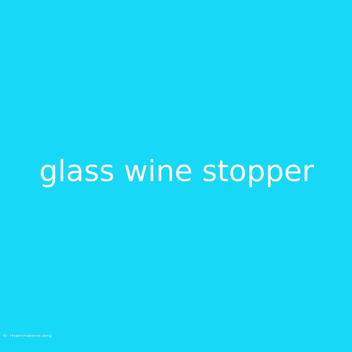 Glass Wine Stopper