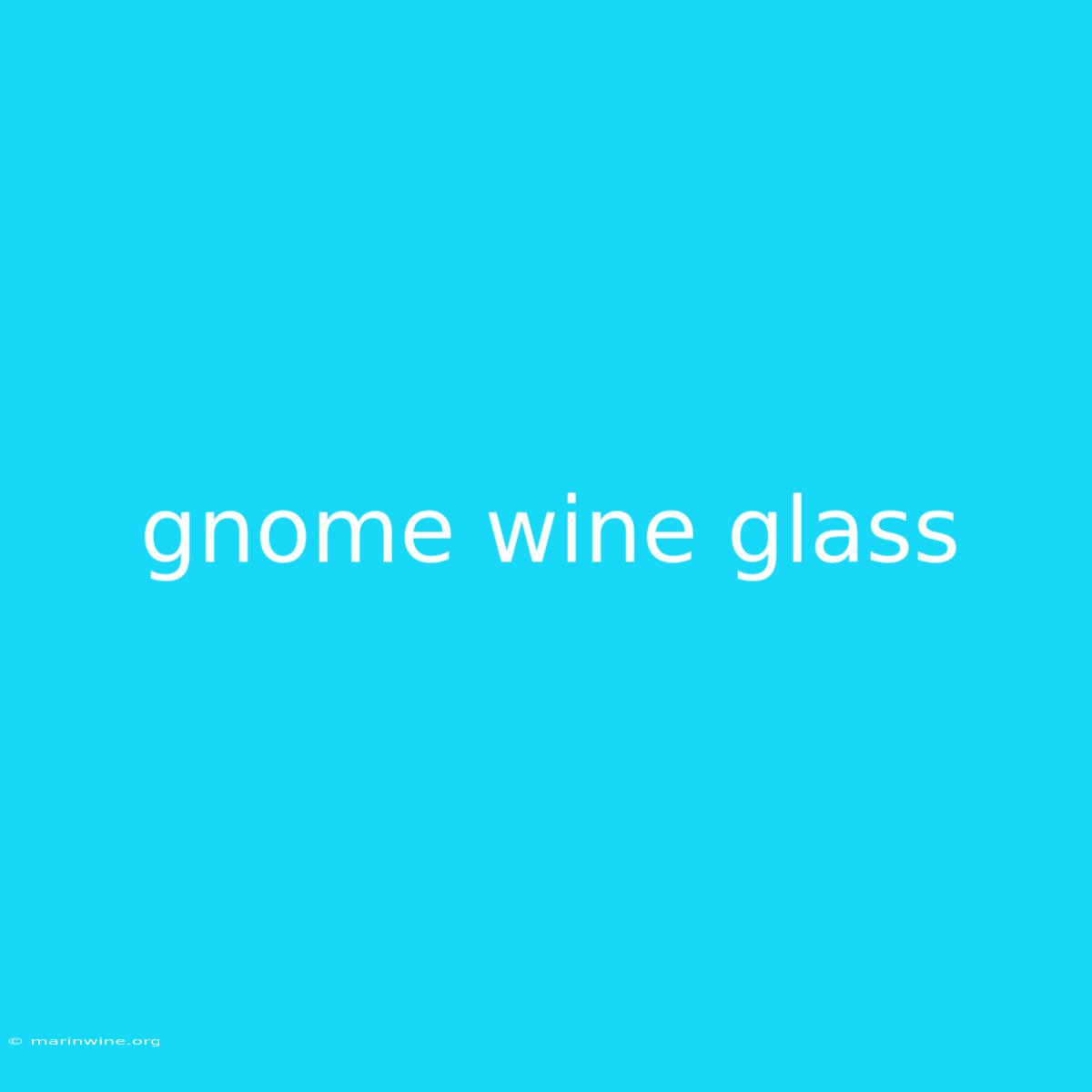 Gnome Wine Glass