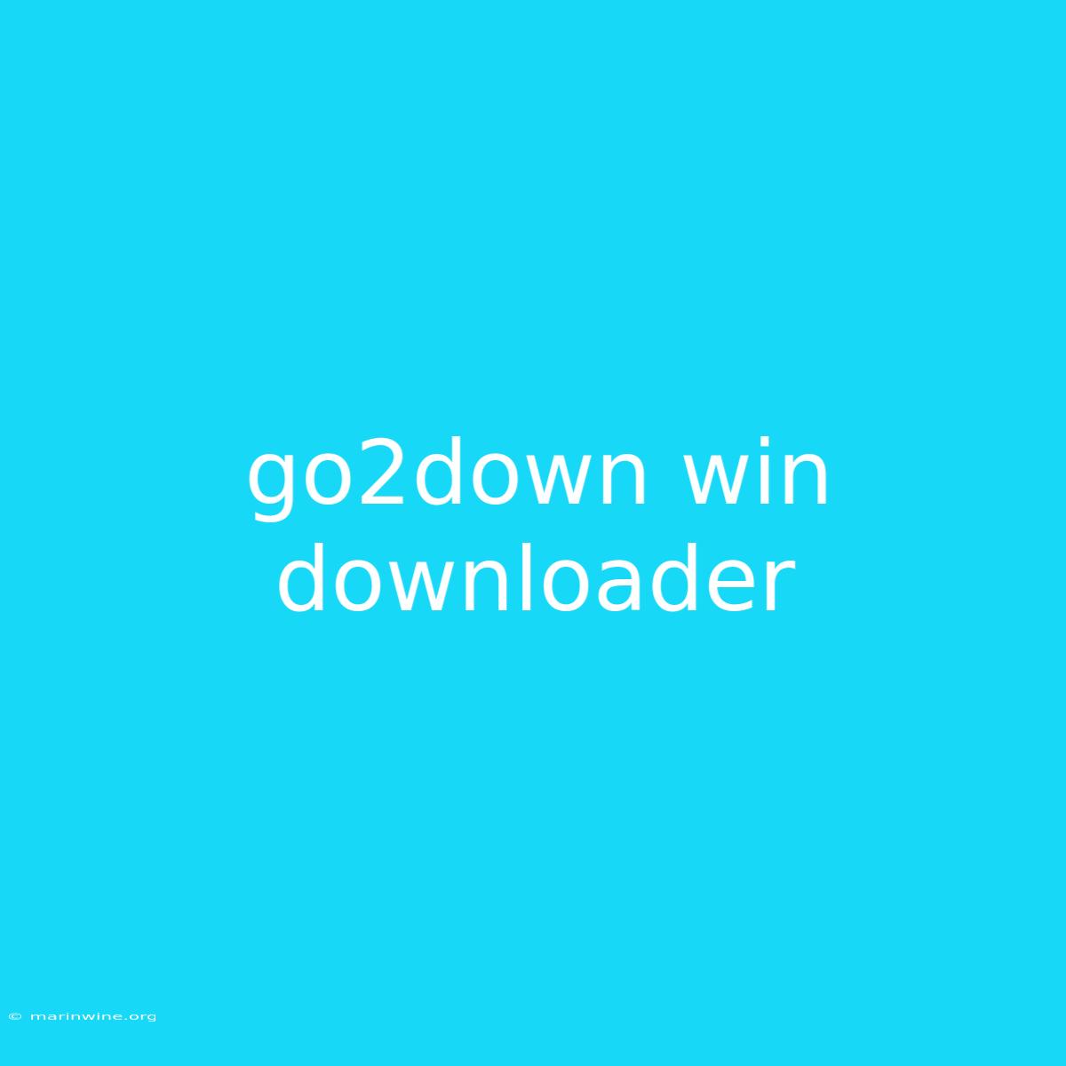 Go2down Win Downloader