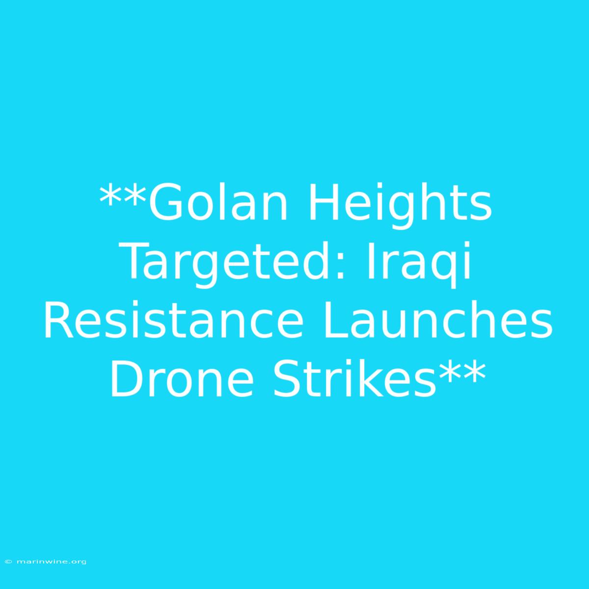 **Golan Heights Targeted: Iraqi Resistance Launches Drone Strikes**