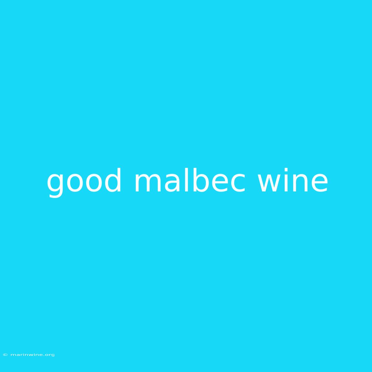 Good Malbec Wine