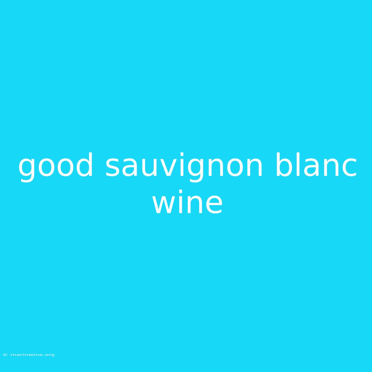 Good Sauvignon Blanc Wine