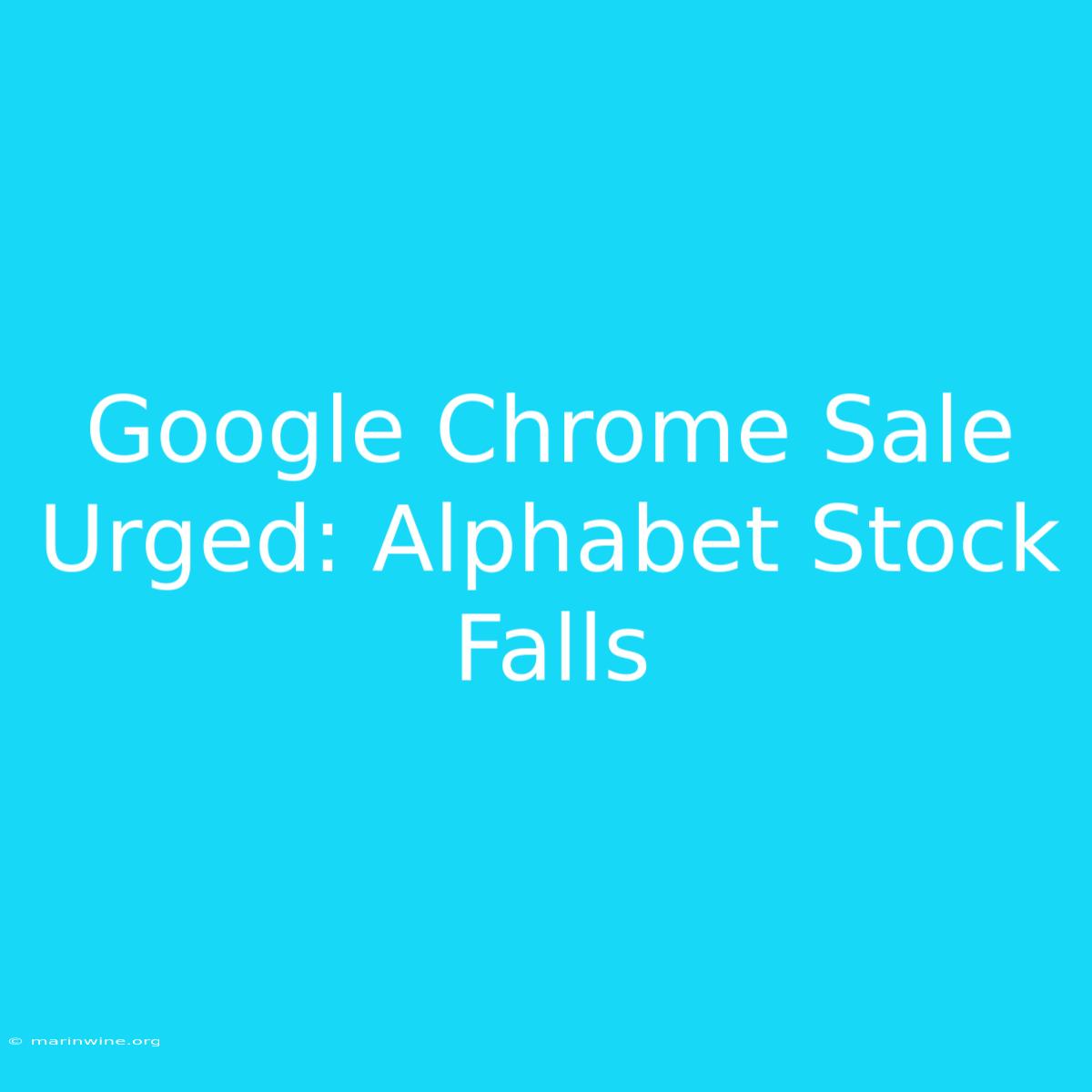 Google Chrome Sale Urged: Alphabet Stock Falls