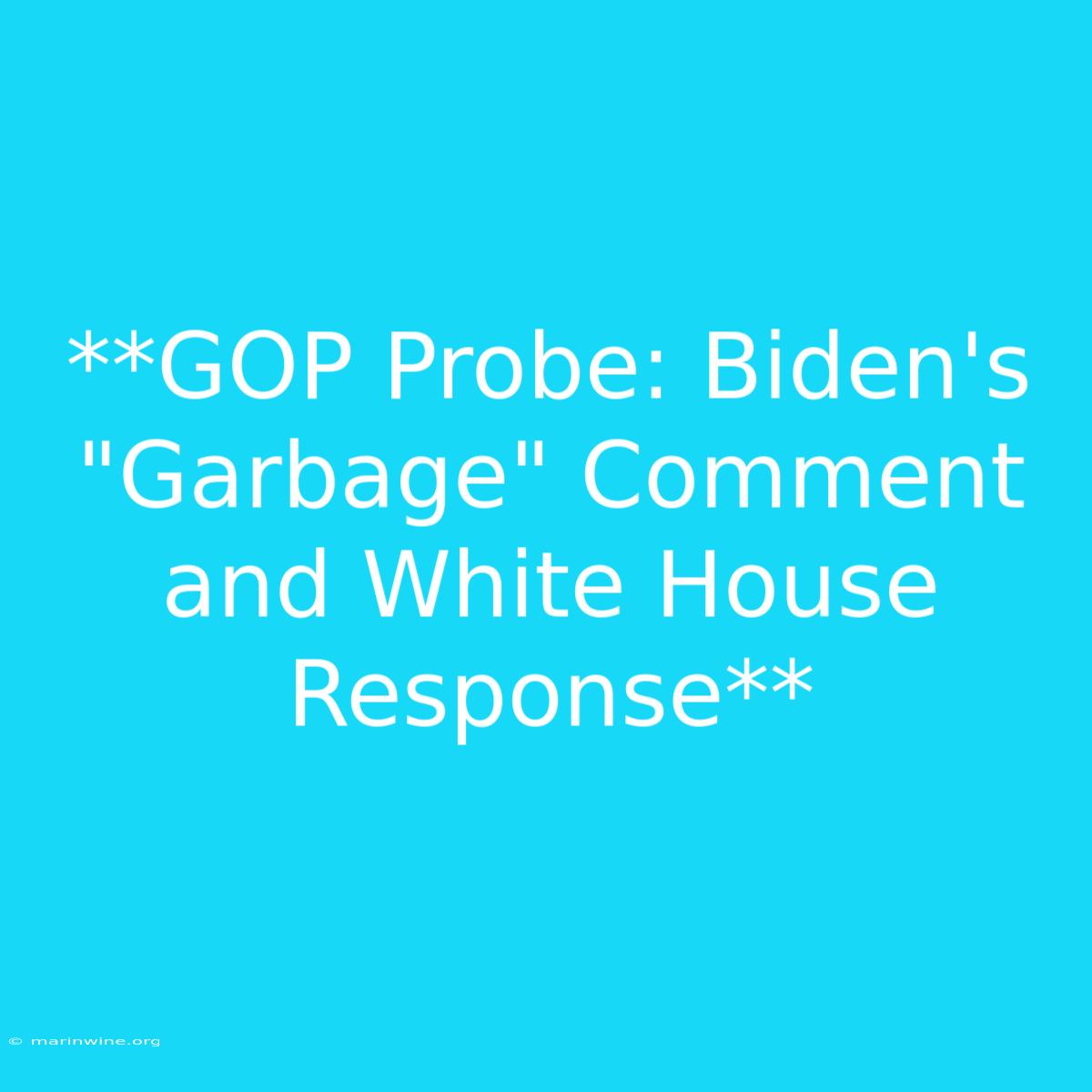 **GOP Probe: Biden's 