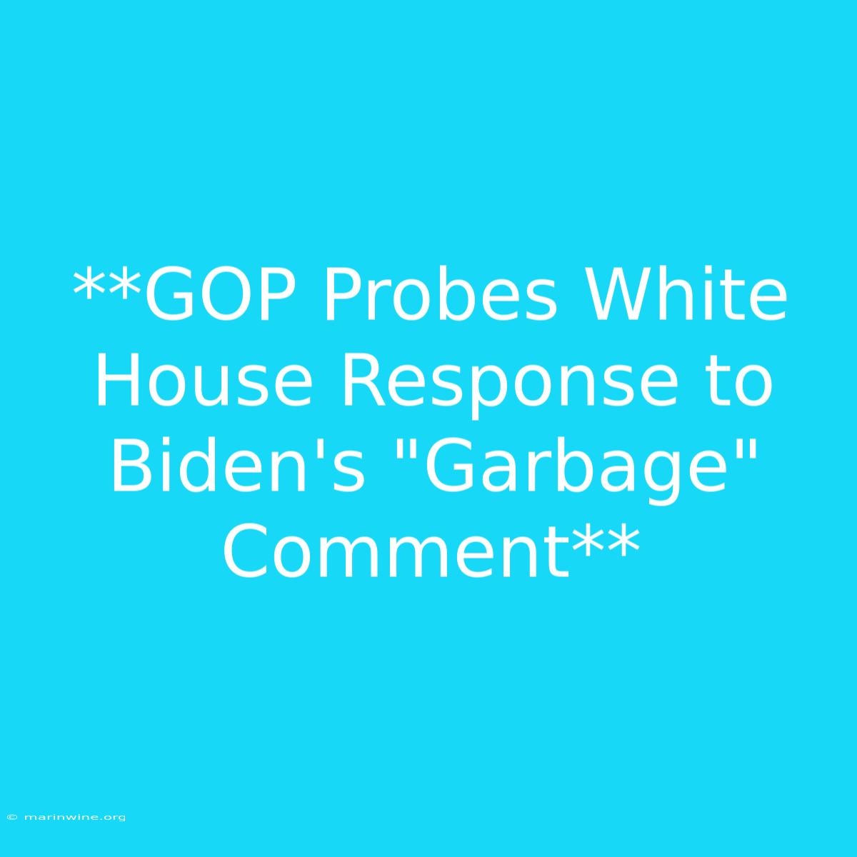 **GOP Probes White House Response To Biden's 