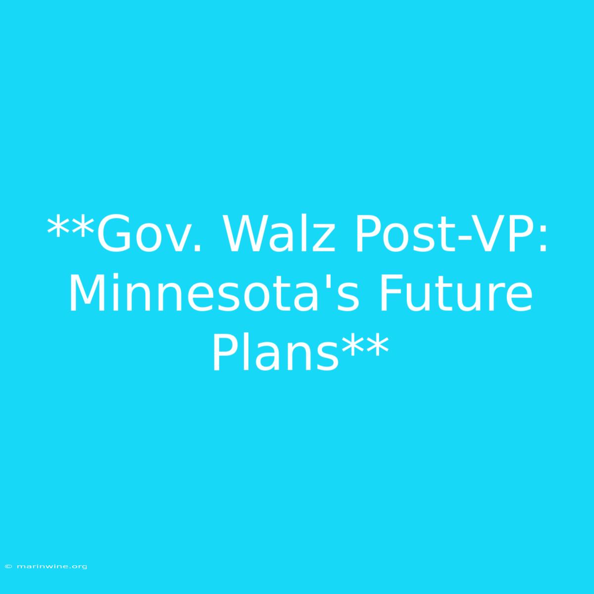 **Gov. Walz Post-VP:  Minnesota's Future Plans**