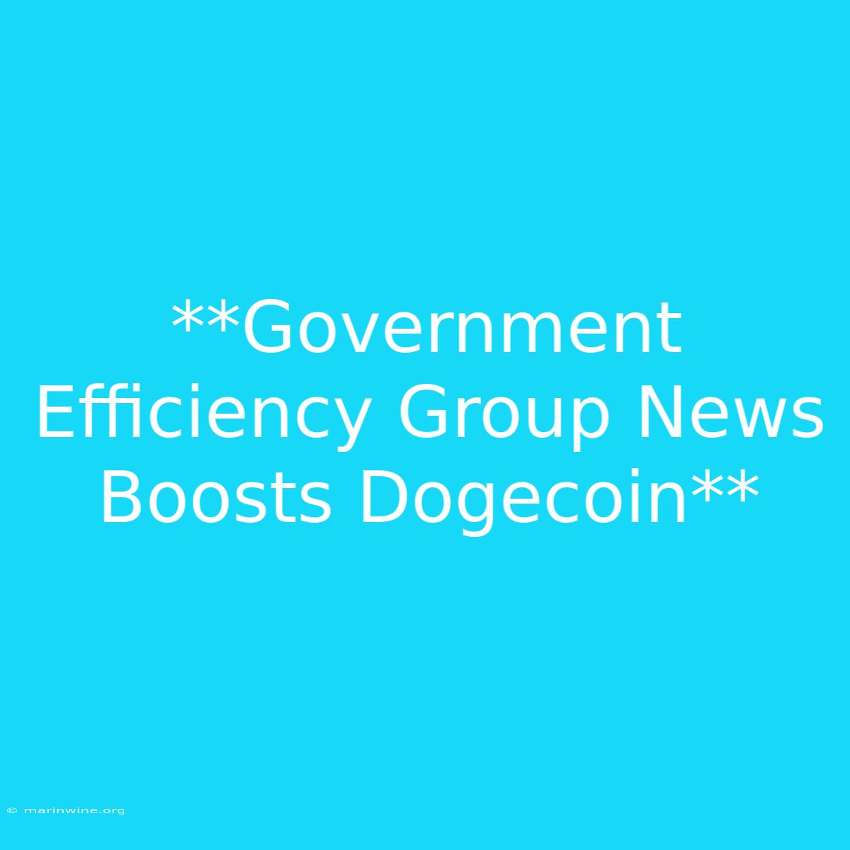 **Government Efficiency Group News Boosts Dogecoin** 