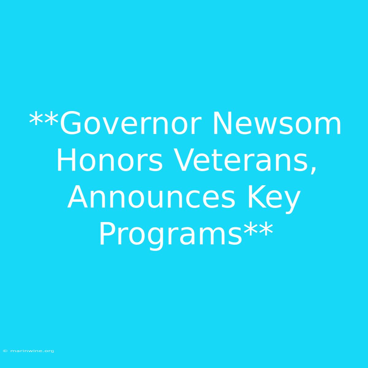 **Governor Newsom Honors Veterans, Announces Key Programs**