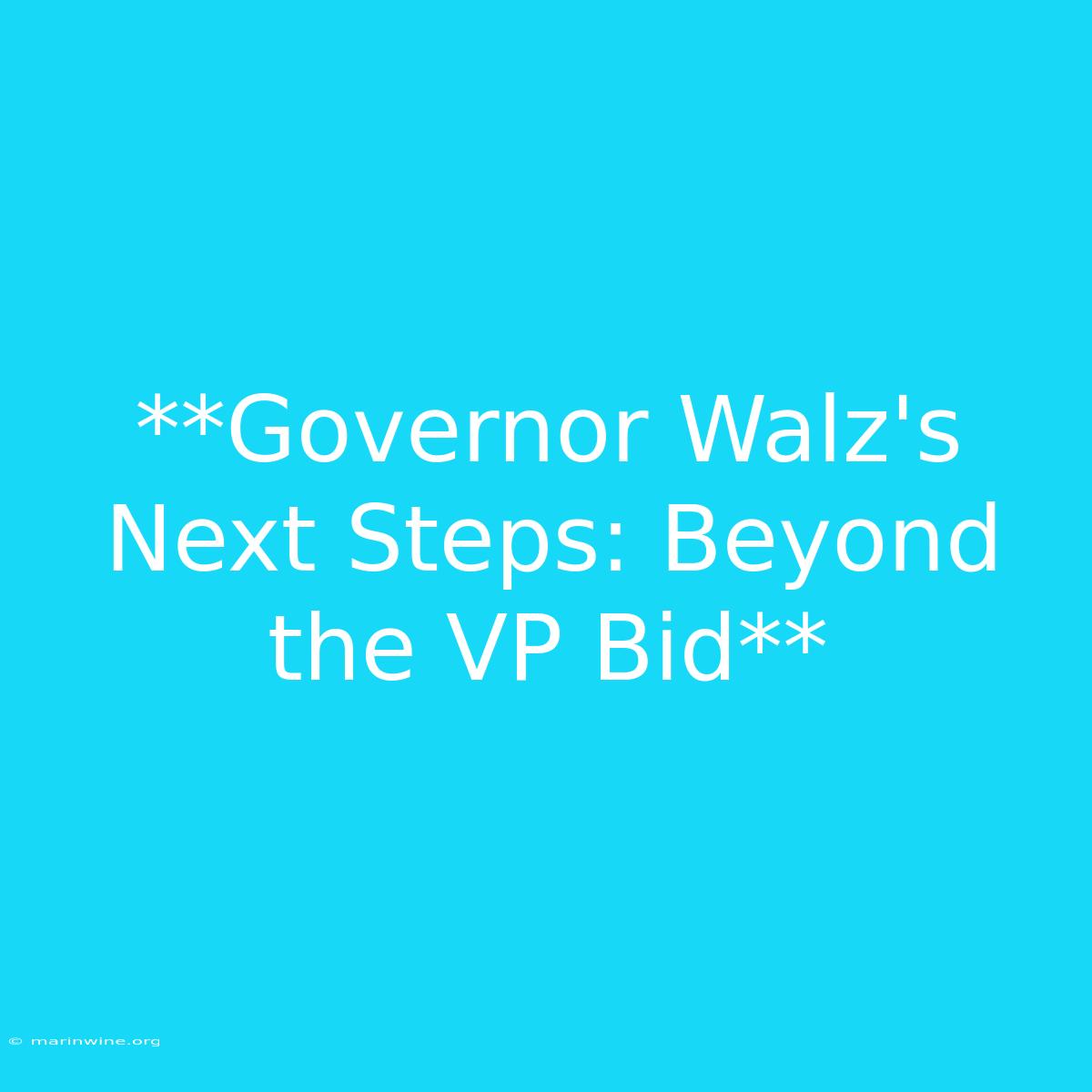 **Governor Walz's Next Steps: Beyond The VP Bid**