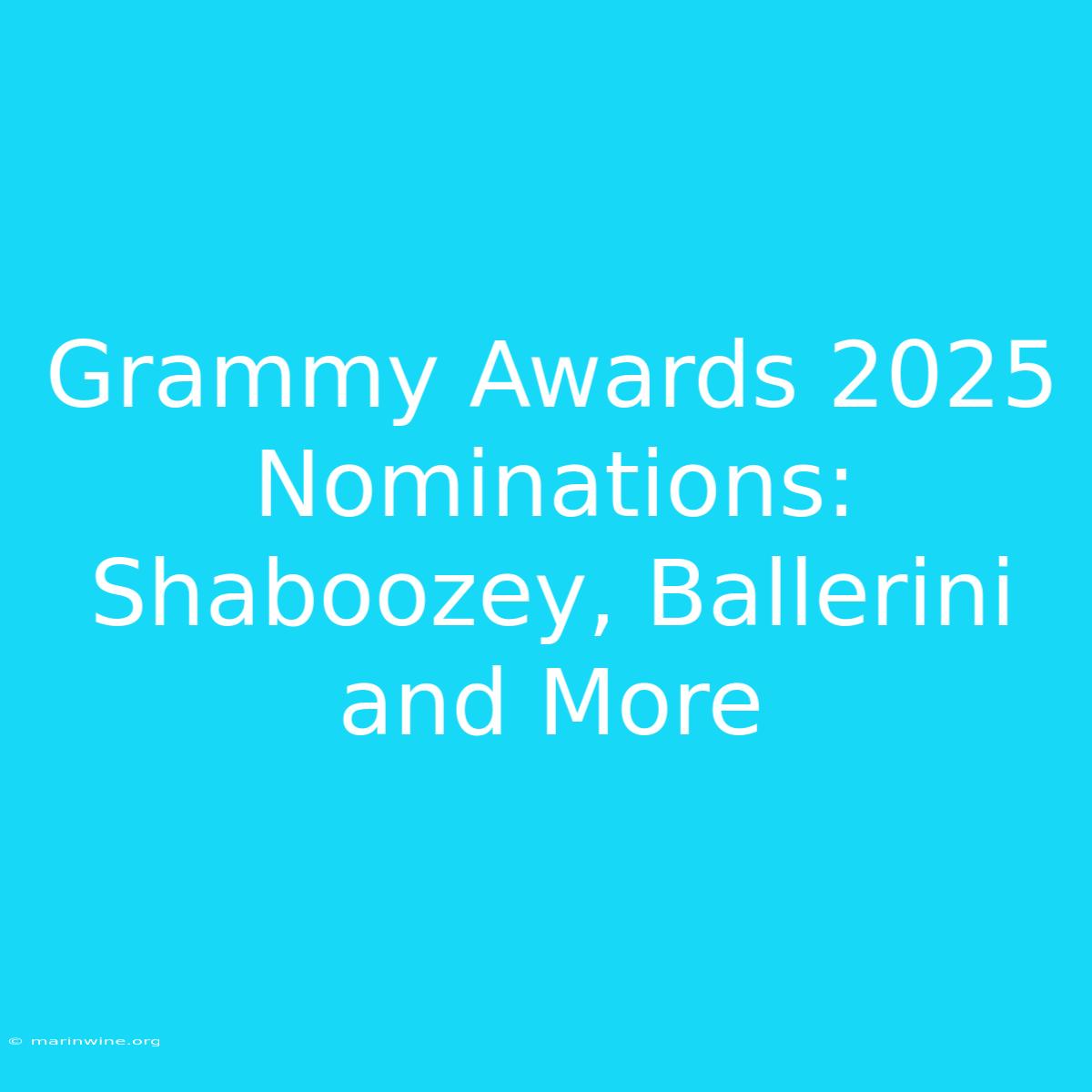 Grammy Awards 2025 Nominations: Shaboozey, Ballerini And More 