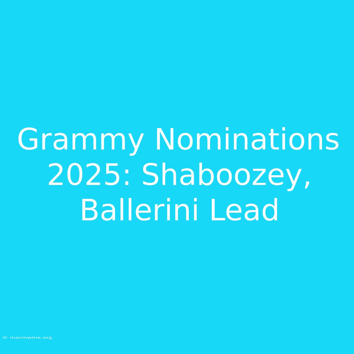 Grammy Nominations 2025: Shaboozey, Ballerini Lead