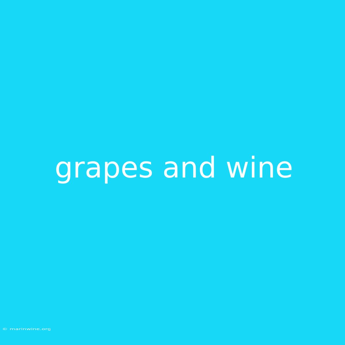 Grapes And Wine