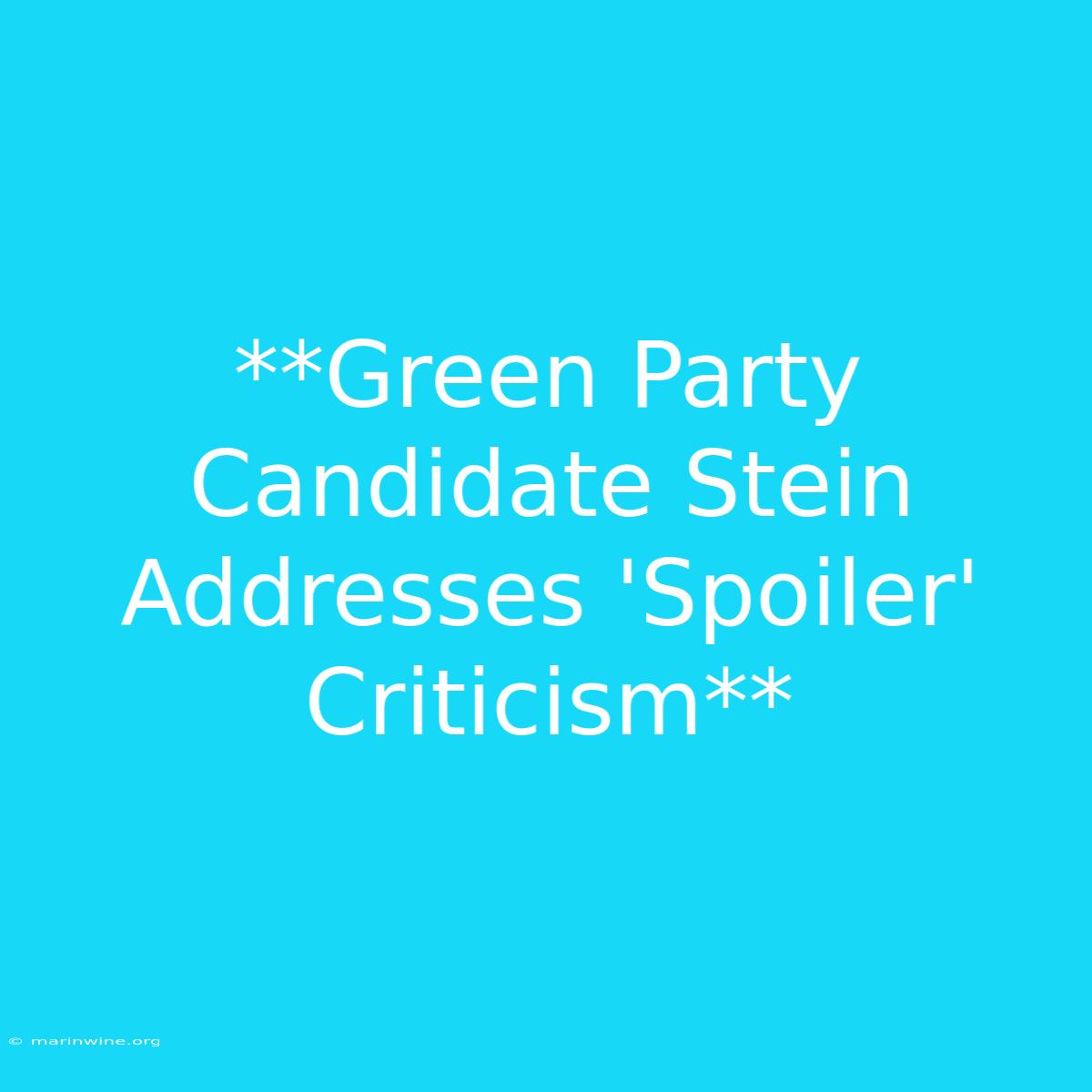 **Green Party Candidate Stein Addresses 'Spoiler' Criticism** 