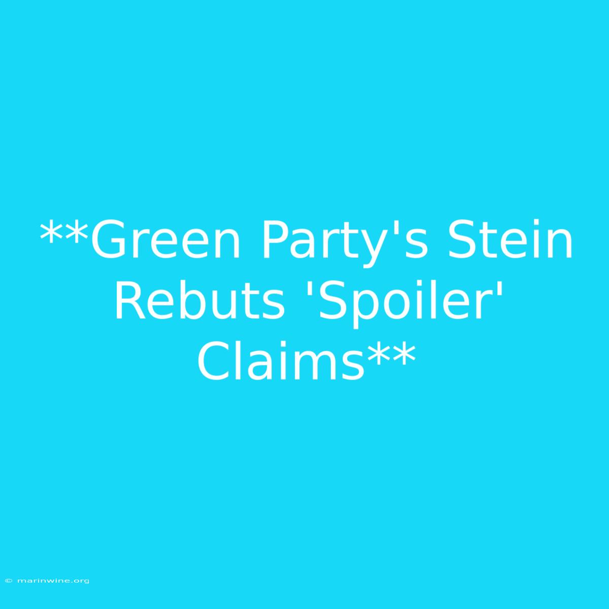 **Green Party's Stein Rebuts 'Spoiler' Claims**