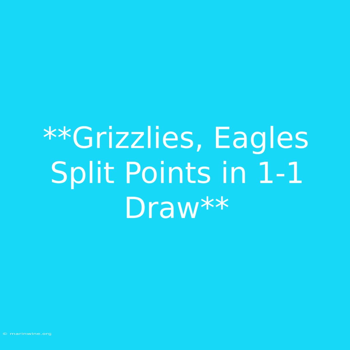 **Grizzlies, Eagles Split Points In 1-1 Draw** 