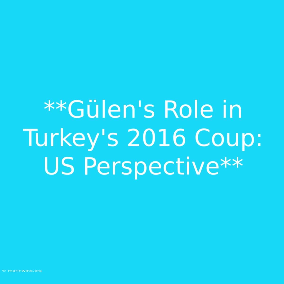 **Gülen's Role In Turkey's 2016 Coup: US Perspective**