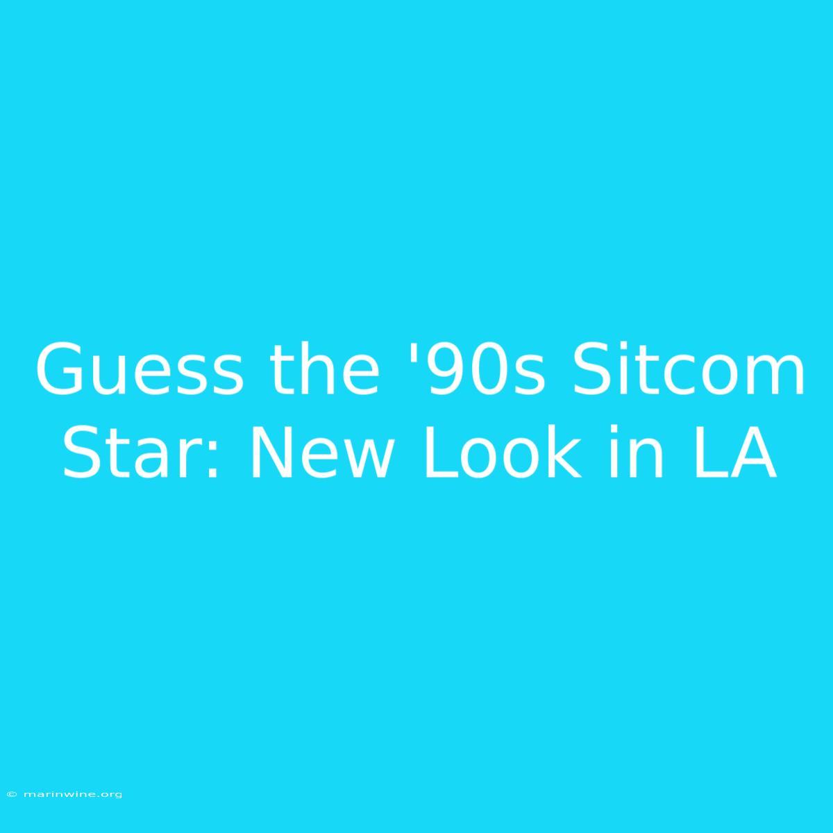 Guess The '90s Sitcom Star: New Look In LA 