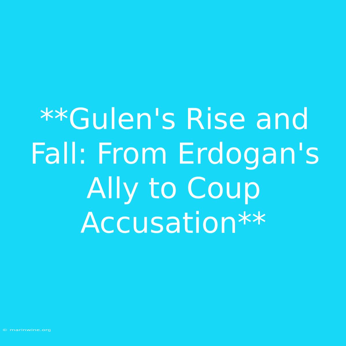 **Gulen's Rise And Fall: From Erdogan's Ally To Coup Accusation**