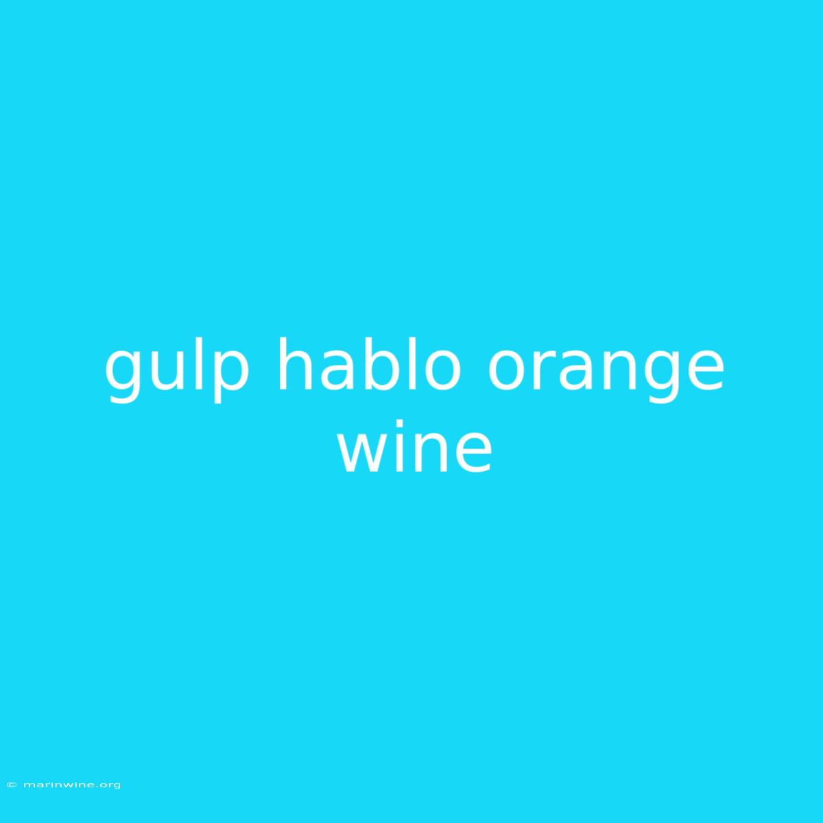 Gulp Hablo Orange Wine