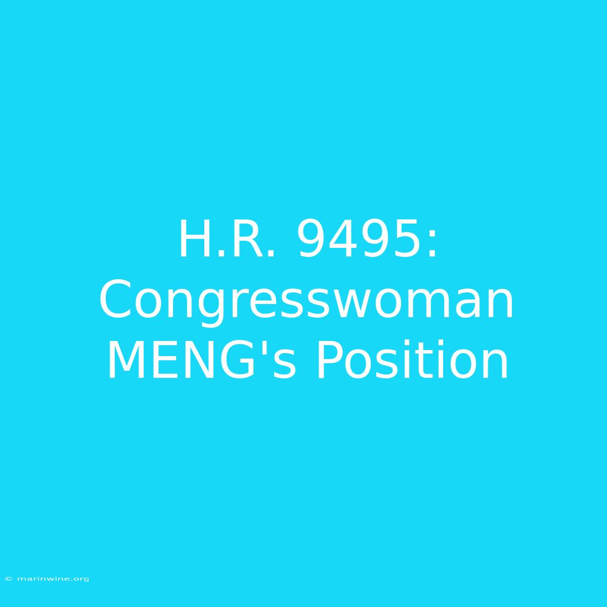 H.R. 9495: Congresswoman MENG's Position