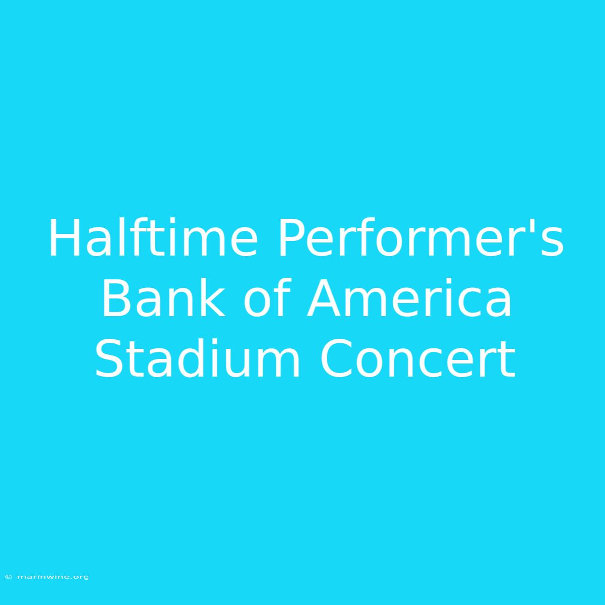 Halftime Performer's Bank Of America Stadium Concert