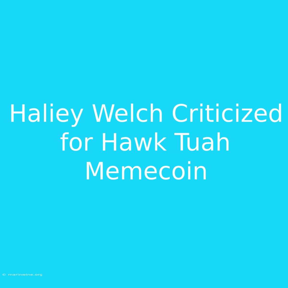 Haliey Welch Criticized For Hawk Tuah Memecoin