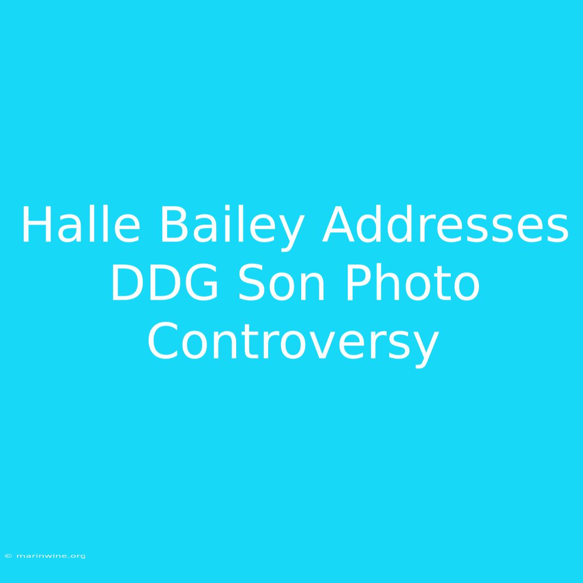 Halle Bailey Addresses DDG Son Photo Controversy 