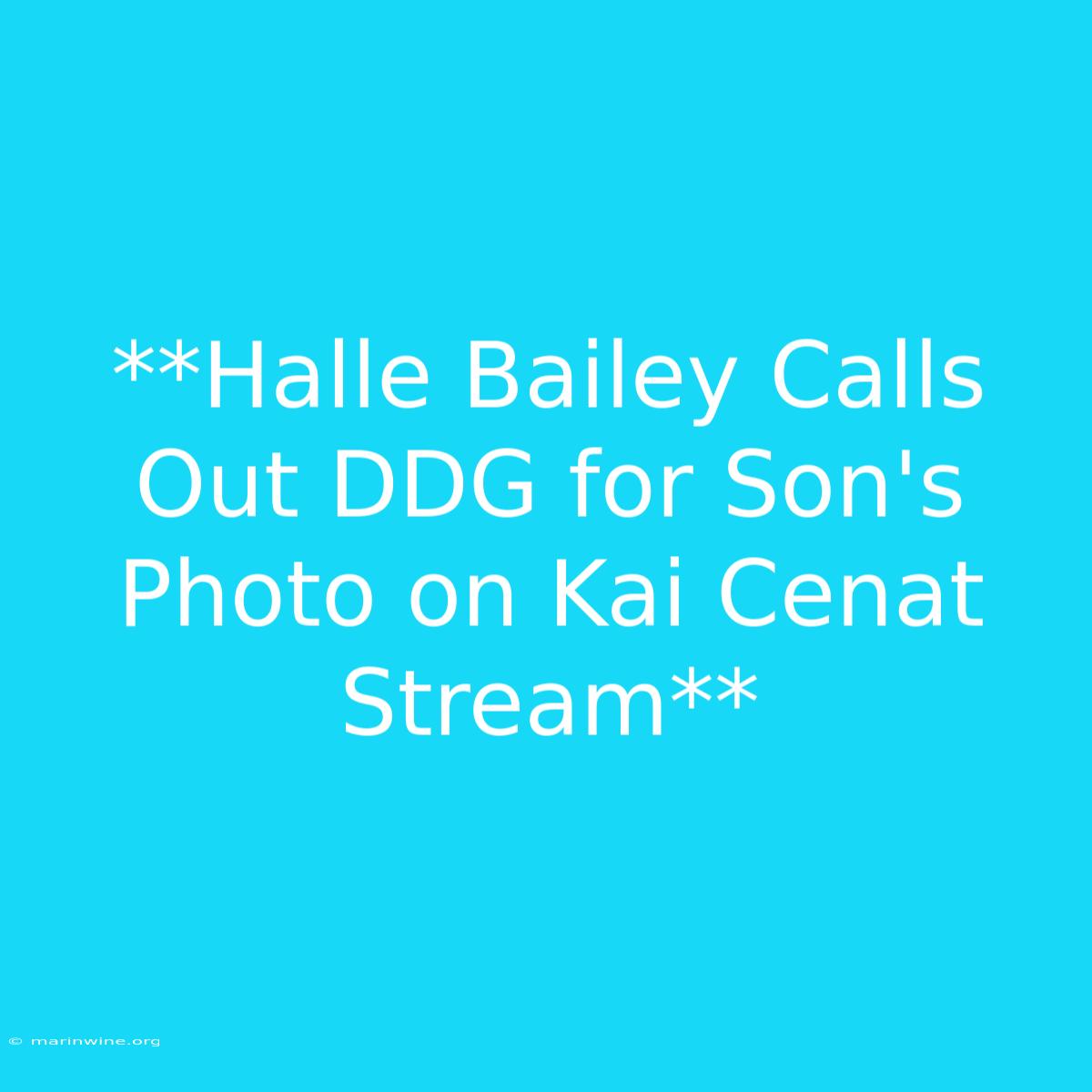 **Halle Bailey Calls Out DDG For Son's Photo On Kai Cenat Stream**