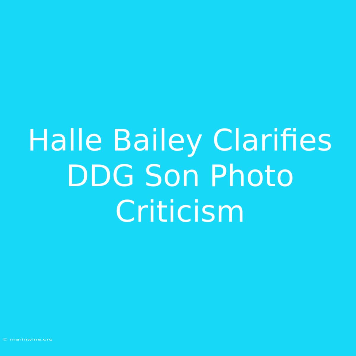 Halle Bailey Clarifies DDG Son Photo Criticism