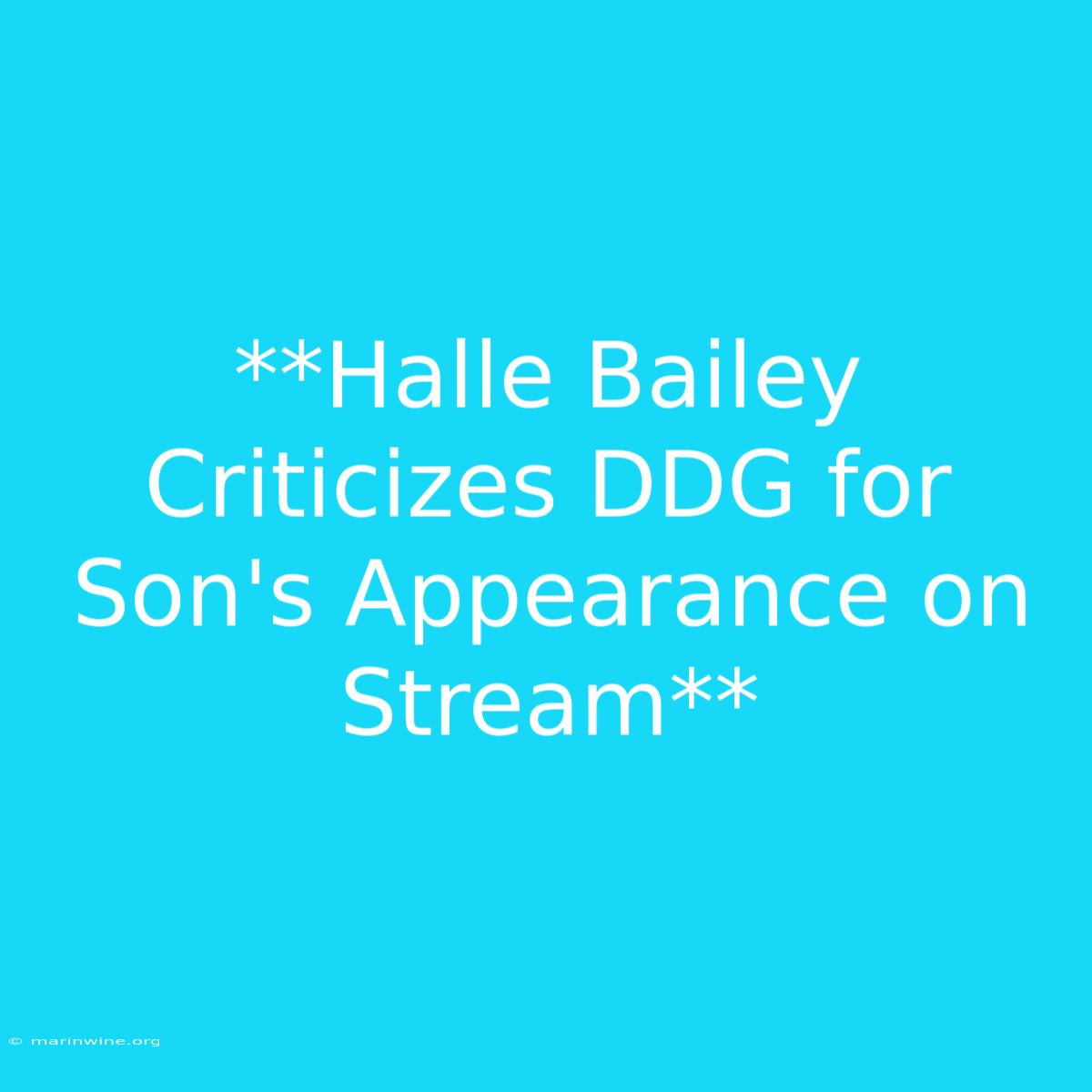 **Halle Bailey Criticizes DDG For Son's Appearance On Stream** 