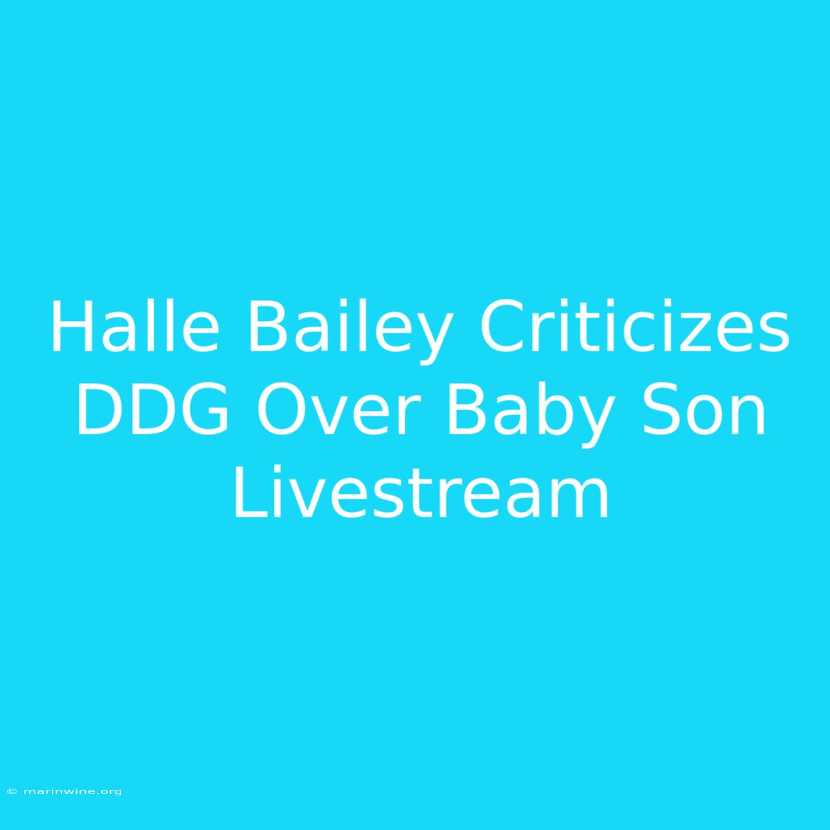 Halle Bailey Criticizes DDG Over Baby Son Livestream