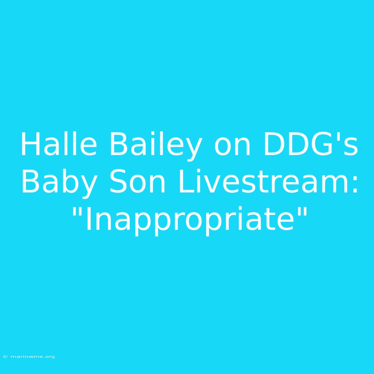 Halle Bailey On DDG's Baby Son Livestream: 