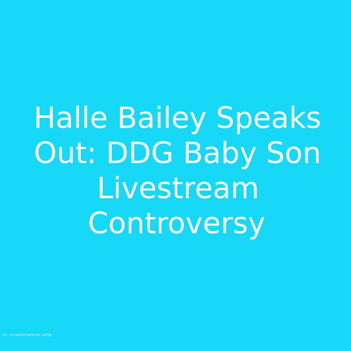 Halle Bailey Speaks Out: DDG Baby Son Livestream Controversy